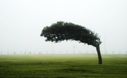 这次“历史罕见”大风有多极端：北京风力达9级 轨道交通地面线停运！