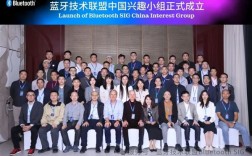 蓝牙技术联盟宣布成立中国兴趣小组：华为、高通、小米、vivo等参会！