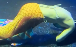 太原溺水“美人鱼”已出ICU：并非低血糖 脚蹼脱落引发溺水！