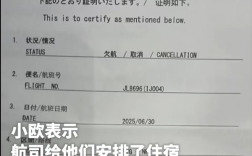 高空急坠8000米航班乘客发声：日航仅提供751元补偿 还得先垫付!