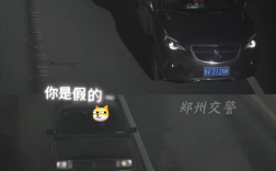 男子为图方便9辆车用一个牌 结果被罚3000元记12分！