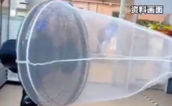 低成本高效灭蚊！女子自制捕蚊器5小时抓五六十只蚊子！