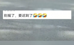 二级保护动物丘鹬过马路一步三摇 网友：别摇了，要迟到了！