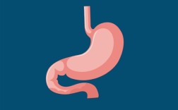 24岁女孩患胃癌 自述不良作息习惯：长期熬夜！