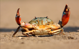 两个菜被收661元：顾客称获退款400元！