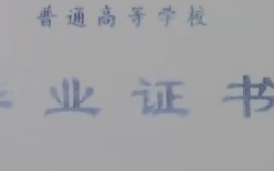 女子用假文凭入职被发现后起诉索赔 法院判了！