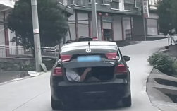 男子怕小猪崽中暑 让朋友坐后备厢照看：被罚100元记3分!