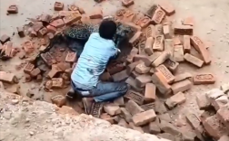 印度一男子与豹子肉搏：竟然还打赢了！