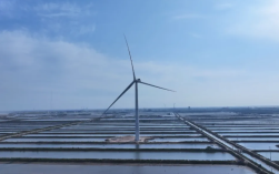 自主研制！全球最大26兆瓦级海上风电机组并网发电！