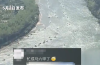 五一的桂林快忙成马六甲了 场面堪比周瑜调集东吴水军!