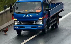 高速上发现一只鸡 男子竟倒车去抓 12分200元没了！