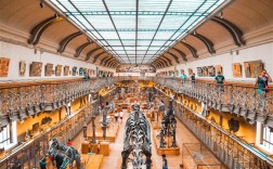 云南恐龙新属种‘金沙江元谋盗龙’出道：被证实为鸟兽脚类姐妹群！