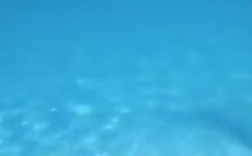 中国女游客为捞相机命丧87米海底 网友热议！