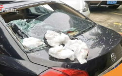 广东一小区现奇葩高空抛物：纸尿片竟然把车顶砸凹！