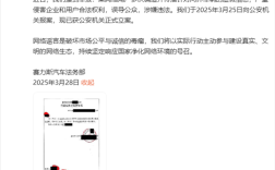 多次编造传播虚假信息 赛力斯就网民造谣问界报案！