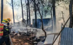 北京59岁女子点燃杨柳絮致火灾被拘 网友：手真欠！