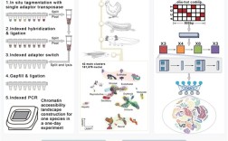 浙大推出“女娲”AI模型！破解基因组密码 全球领先!