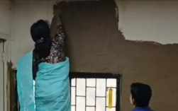 印度大学用牛粪涂墙降温 校长力挺：这是科学！