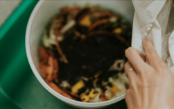 有望减少塑料污染！新研究用食物垃圾开发出天然薄膜！