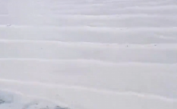 美翻！内蒙古“牛奶湖”奇观火出圈 湖水因矿物颗粒现乳白色！