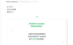 微信刷掌正式出海！首站落地新加坡！