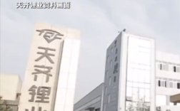 天齐锂业二代接班首年巨亏79亿 创始人声援：充满信心！