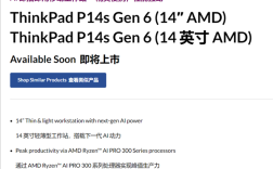 联想ThinkPad P14s Gen6配置意外曝光！最高12核AMD锐龙AI 9 HX Pro 370!