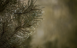 高二女生拿下国家专利：解决雨天骑行难题!