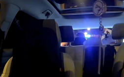 女乘客坐顺风车时口袋里的宠物蛇跑了 司机吓到崩溃报警！