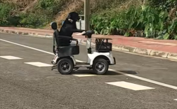 拉布拉多独自驾电动车上路被扣车 狗主人：它是网红 还在学叉车！