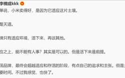 任何攻击玄戒O1不是自研都是不懂芯片！李楠点评小米：卖得好 因为它适应这片土壤！