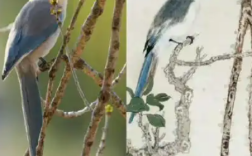 李现打鸟作品与张大千画作神似 网友盛赞！