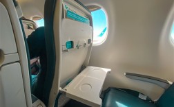 飞机上最脏的地方是小桌板 细菌是厕所7倍！最干净的是空气!