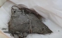 900年前的粽子长啥样 专家：肉粽！