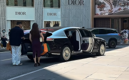 网友偶遇尊界S800实车：配专职司机、隔空关门太优雅!