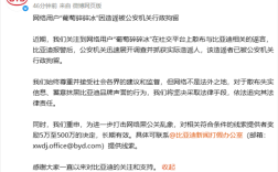 造谣海鸥充电时起火爆炸 比亚迪法务部：一网民已被行拘！