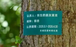 莫言真的在地坛认养了一棵银杏树！