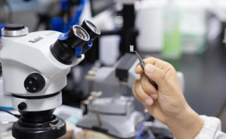 全球首例！复旦新研究使失明动物恢复光视觉能力！