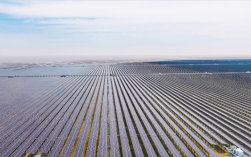 全国规模最大！“光氢储一体化”海上光伏项目全容量并网发电！