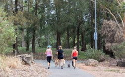 狗权至上！澳大利亚堪培拉立法：狗主人必须每天陪伴狗3个小时!