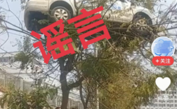 四川某驾校教练车开上树?谣言!