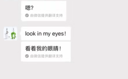 微信实用功能+1！聊天消息自动翻译上线 支持18种语言！