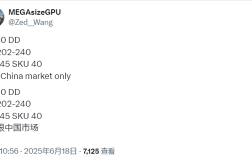 超级多重缩水王！NVIDIA将推中国特供RTX 5090 DD：只剩24GB显存！