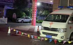 江苏一女子半夜上厕所 马桶里窜出一条蛇顶到屁股！