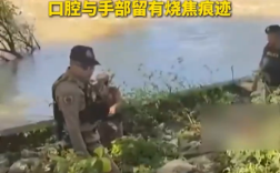 钓鱼时电子烟突然爆炸 泰国一男子被碎片刺穿心肺 当场丧命！