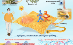 天津大学研发出神奇织物：光照12秒就能升至40℃！