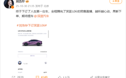 演员刘浩存订了人生第一台车：16万元的深蓝L06！