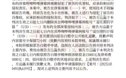 未履行致歉义务！白敬亭申请强执“春山学”博主