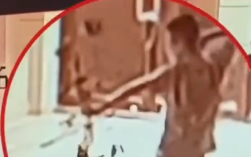 男子深夜潜入他人院内射杀3只猫 2023年曾因射杀流浪猫被警方调查！