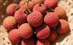 女子狂吃10斤荔枝确诊“荔枝病” 严重可致死！